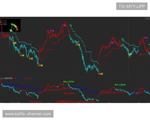 血战骰宝规则全面解析帮助玩家理解游戏机制实现稳健盈利